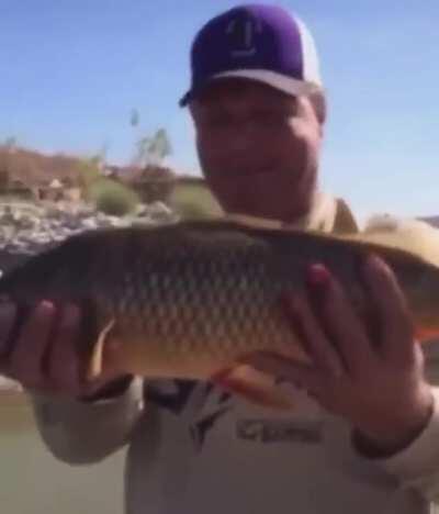 SwAm aWAy JusT FiNe-