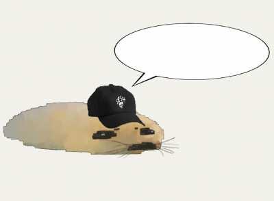 low quality harp seal singing HDMI by Bones