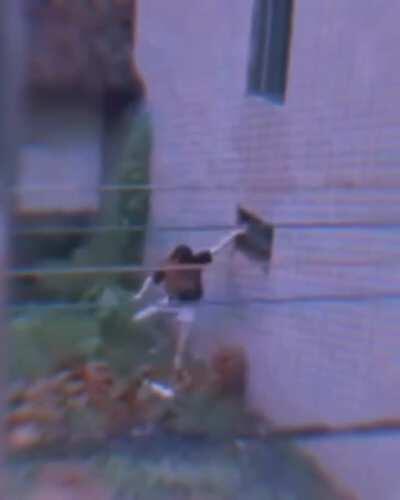 HMC while I try to climb in this window