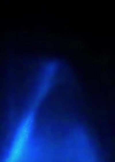 🔥bottlenose dolphins swim in glowing waters