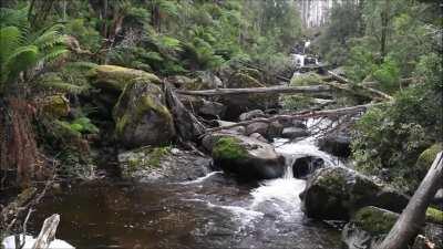 Keppel Falls, near Marysville, Victoria, Australia