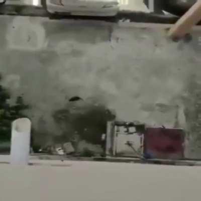 SHIIIIIIIZAAAAAAAAAAAAA