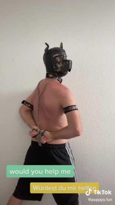 I'm calling Animal Control Service