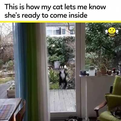 I can't stop laughing at this