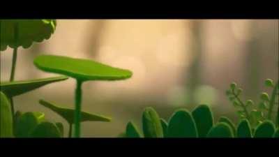 On that day, humanity received a grim reminder...