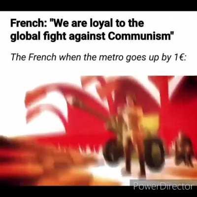 Average day in Paris...