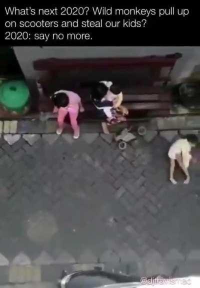 Next episode in 2020.