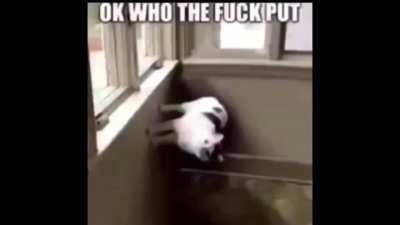 Cuppa upvotes for me so I can post please? Im new to Reddit, thanks :)