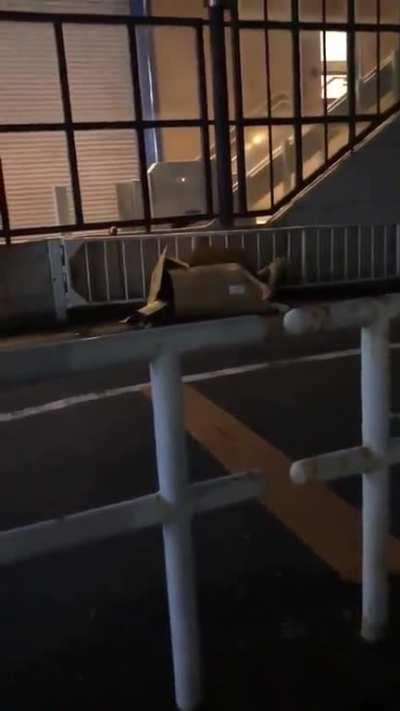 ATE MENDIGO NAMORA E LUAN N