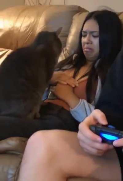 Cats can always spot the non cat person.