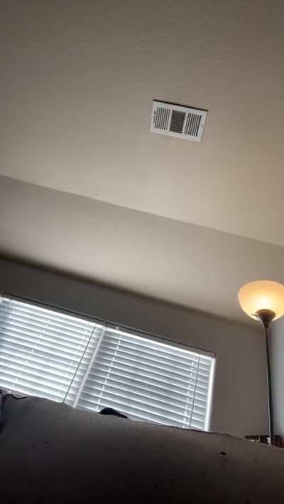 Idc if it stinks😒sniff it up 😊