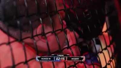 Chun-Li VS E Honda in octagon