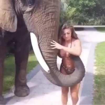 Gajah Irfan makin berleluasa