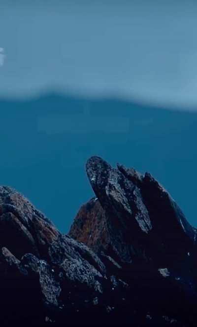 🔥 The Bald Eagle is native to North America and cannot be found anywhere else in the world.