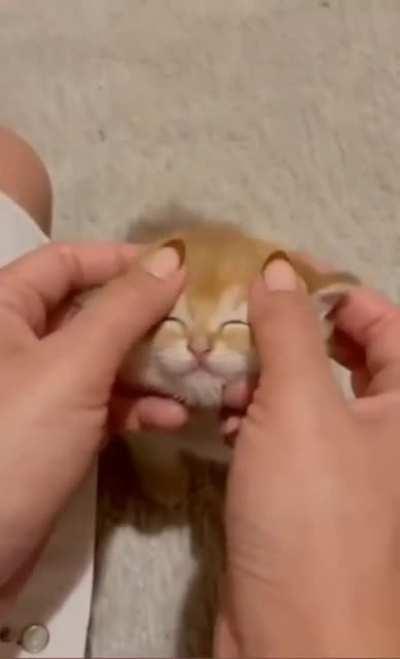 Someone Is Loving My Fingers On His Cute Little Face😍🥰