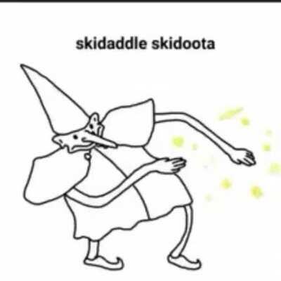 Skiddladle skadoota