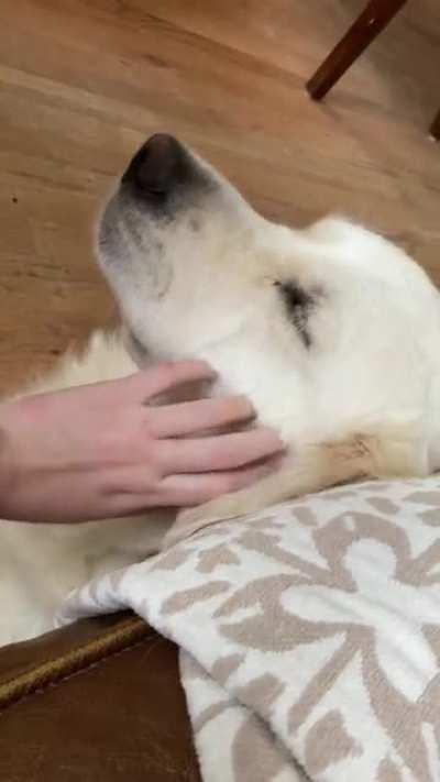 Someone is very clear in telling me he wants to be oet