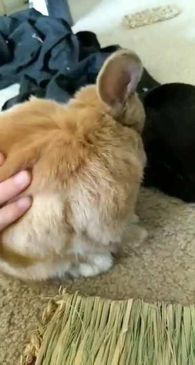 He used to be so small, still just as cute though