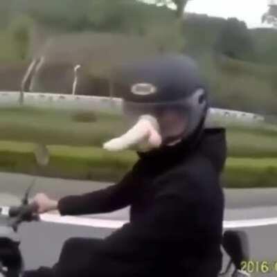 Just chillin in a motorcycle