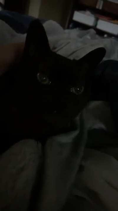 Old girl yelling in the middle of the night