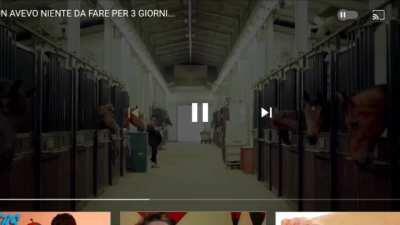 Mai abbassare la qualità ad un video...