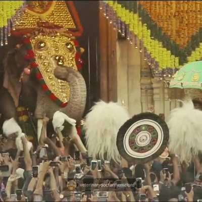 Have a blessed Pongal 🚩