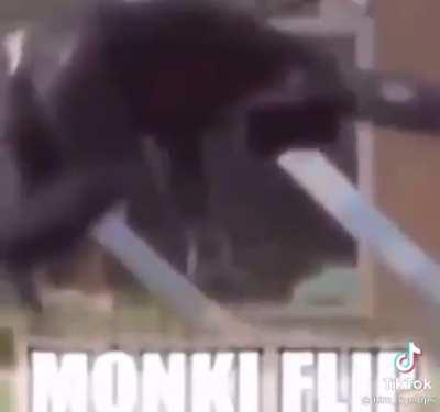 Ent Minecraft sempre foi isso....