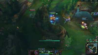 Remember to use sweepers and wards to check bushes before walking into them!