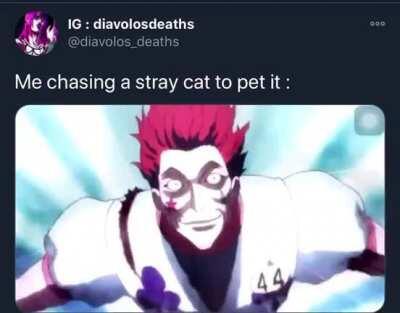 Cats are the best and no one can convince me otherwise