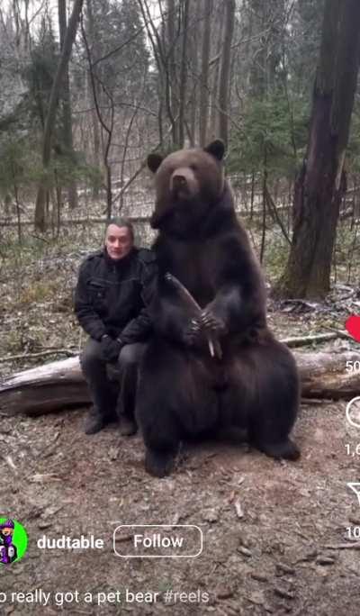 What a nice dog you got there!