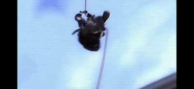 Its crazy how wild this entire scene was rewatching it now lmao. The White Bronco joke gets me EVERY time!