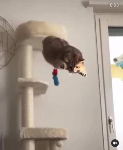 Perfectly calculated.