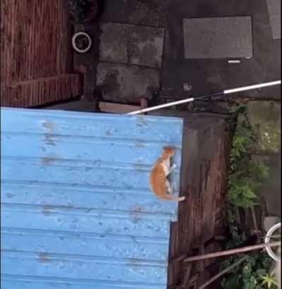 I got some good ones today