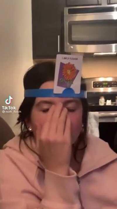 well yes, but actually no.