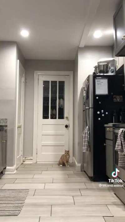 I just don't like this wall