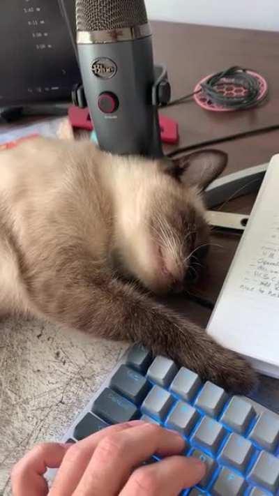 Thirsty dreams (fixed!)