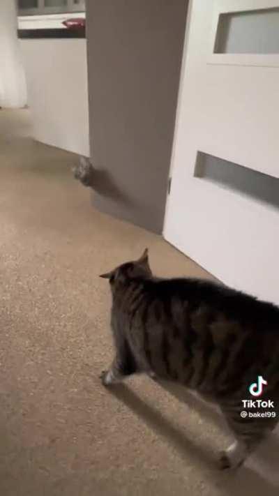 we will never know what went down😞