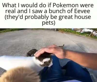 Y’all Pokemon fans are weird