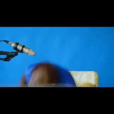 WCGW filming a monkey on a chair and have a table in front of him.