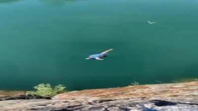 😀made cool edit out of trash roblox youtuber😀