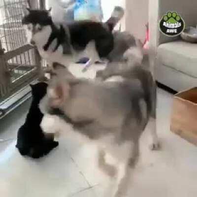 My mom sent me this and i thought jeannie would like it