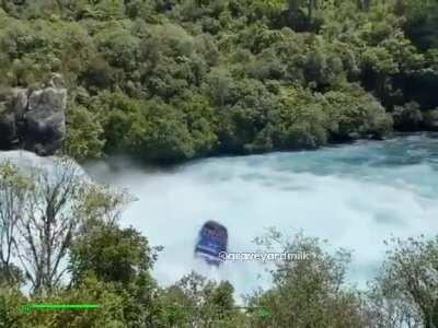 El mosquito foi avistado novamente