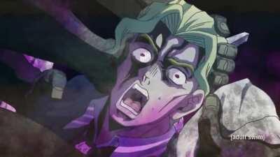 Dolphins should be free