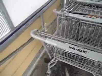 Peeing on carts, classic Walmart behaviour