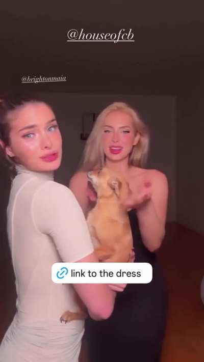 Saxons IG story 14/11/25