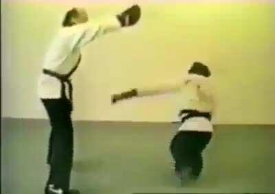 Man teaches monke kick-boxing