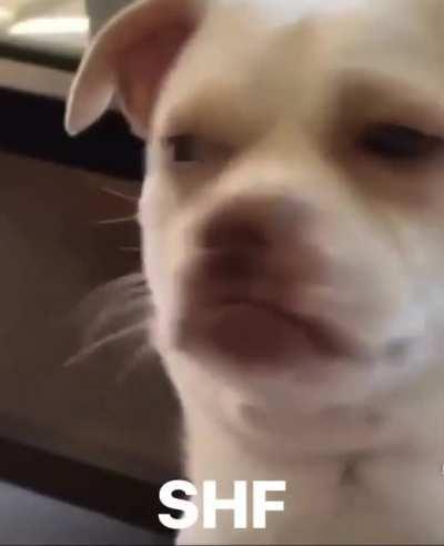 Going into the weekend knowing apes have figured out they were the catalyst all along … 🪞 🦍