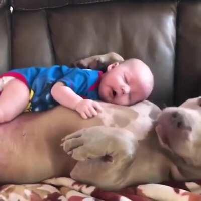 Малыш и его большой друг