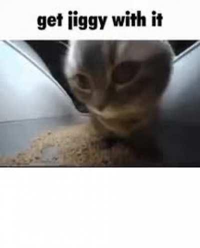 Roomba Roomba on my wall, who has the longest ban of them all?