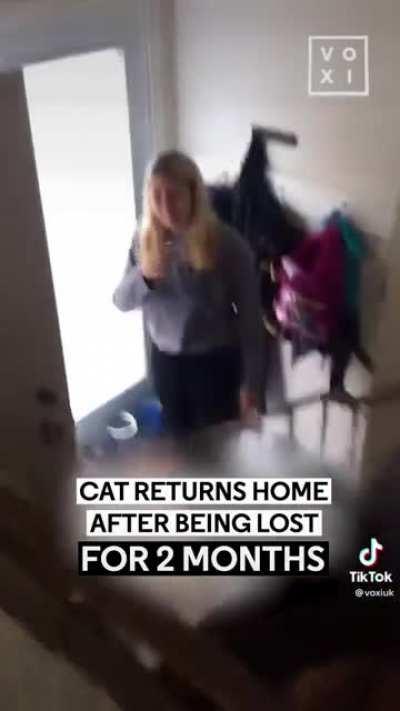 The kids will be so happy to see the cat again. The cat... no so much.